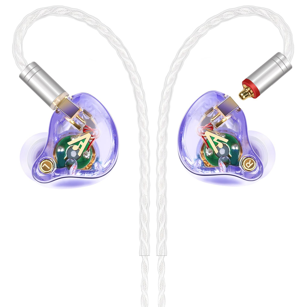Vibes 202MC USB-C Wired Earbuds - USBC HiFi in Ear Headphones for iPhone 17/16/15 - Noise Isolating Ear Buds w/ Mic - Clear Sound, Deep Bass & Comfort-Fit Earphones - Silver Plated Cord, Carrying Case
